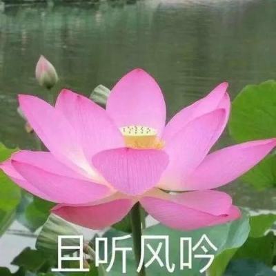 御天圣决手游(暂未上线)v1.3.4 安卓版